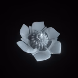 Flora #7