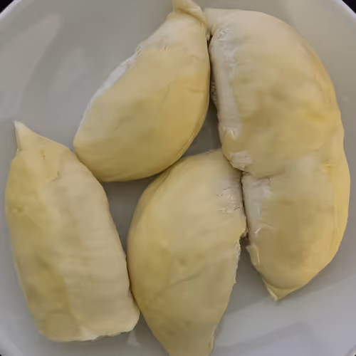 ihatebodyfat Collection