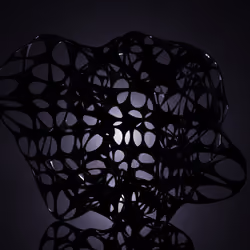 The light within