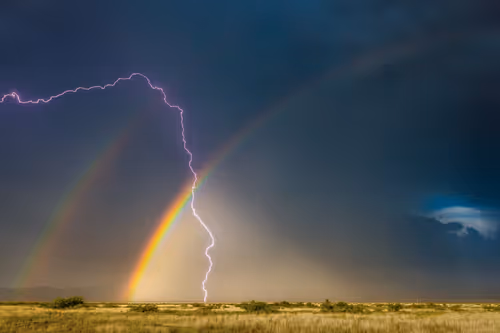 Item #95204431680649181601528738578851453896688564435428028381601595482146531704833 Media