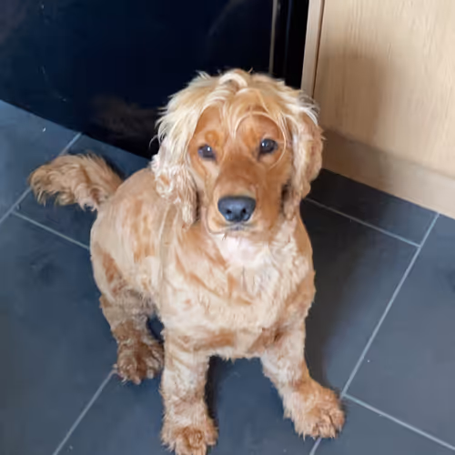 Untitled Collection #33752016