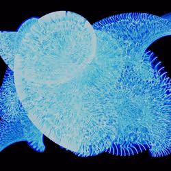 45731211464929816441170859700976373292149702980452148839612469056760725897217