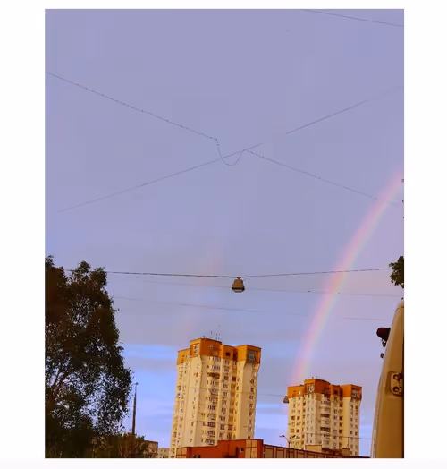 Item #62144476528507441180481710396898939687788168454617408564338719834445505888257 Media