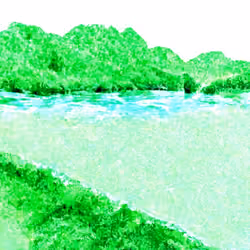 Crypto River #3