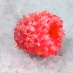 Cubist Crypto Rasperry