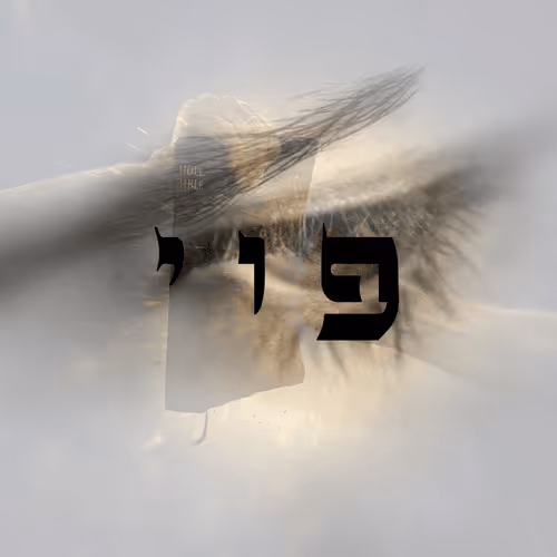 Item #60261209402415139582755570421670089329548312864668202741056926994953014345729 Media