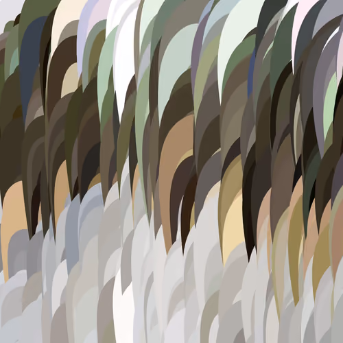 Silk Road