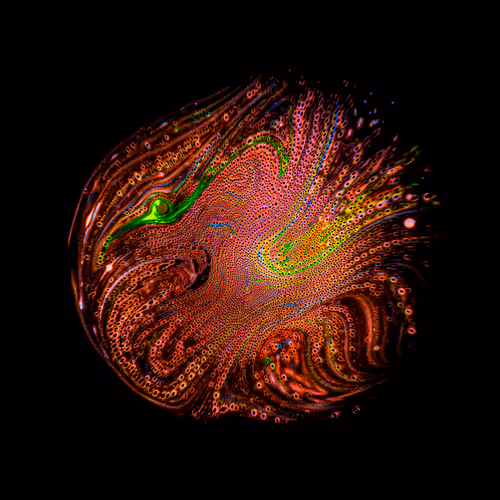 Item #39853347361311550538823328626004824816221754573894422864413753478124715114497 Media