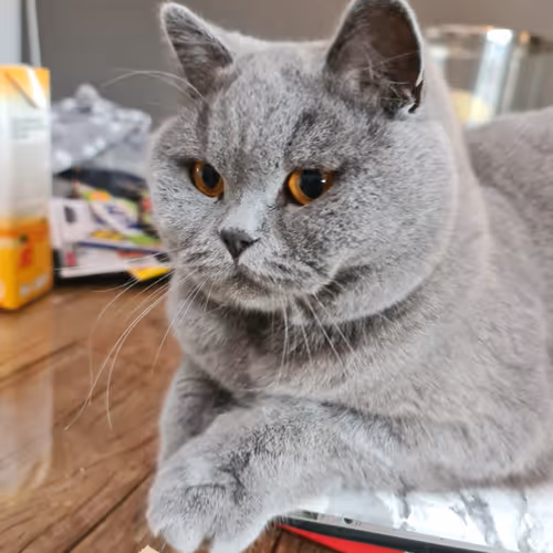 50378249515192140596651097190490243462828899571090436609561503708391726383105