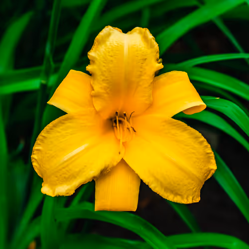 Item #103686277115178527412315898511256896200639863012682764514094226624396050563073 Media