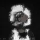 81780663242335141363756033755908731851670038543901613158791006147015549648897