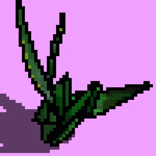 Item #10905774597844113090863221102815538182941299276828587691157236882980781162497 Media