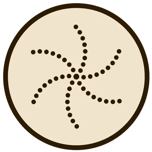 Item #43146523161913970775654449509921564474344972767913577800200540939038398349313 Media