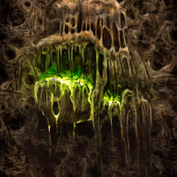 66288377512075855280769117598428000574918083210804014560383396064238791294977