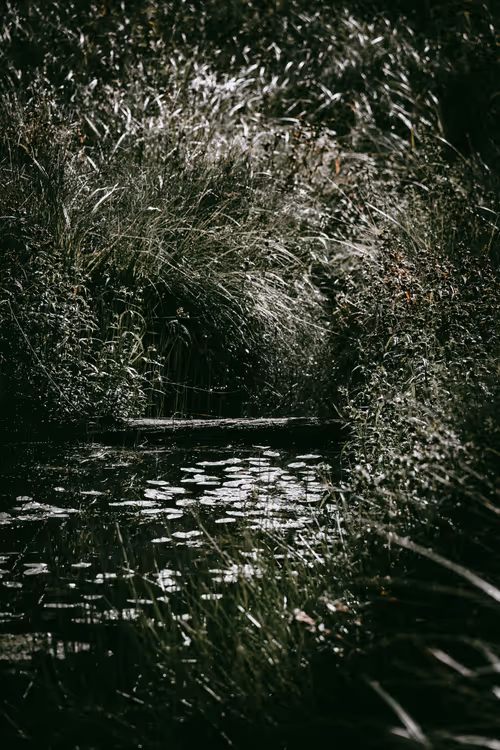 Item #46709965239587215851558087466762379659612403751449934923508460079207921221633 Media