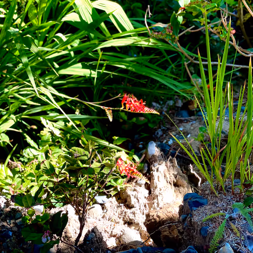 Untitled Collection #76285699