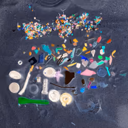 Sequestered Beach Plastic #2