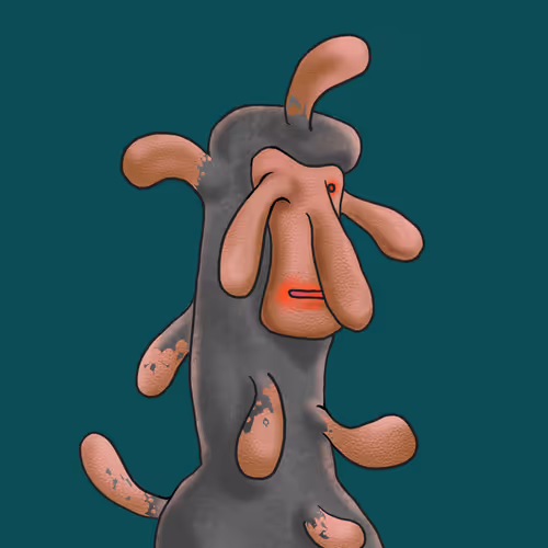 Item #108089558696526516680913993215478027877994481288758681275052592546099014664193 Media