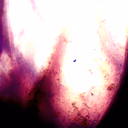 71646257518770613568983710813551014237803002136866425209291834773961982345217