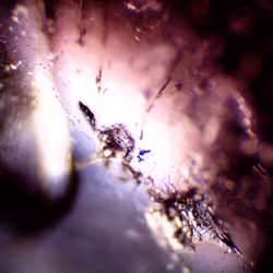 71646257518770613568983710813551014237803002136866425209291834747573703278593