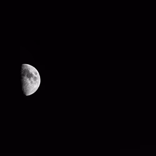 B&W Nature Stuff