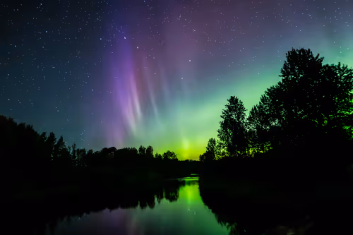 Item #37726056540758428475176204622414672838971825746317066475538999402291741589505 Media