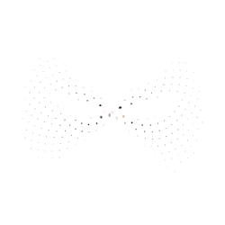 Eternal Flower