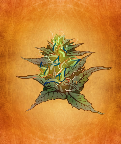 Item #88173920956366532206384104525204378846175092179682069740847406068337725145089 Media