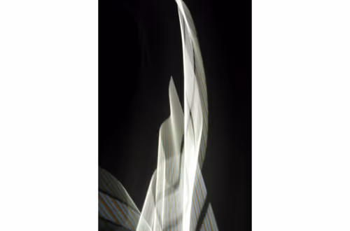 Item #89720646548455089969674592271052720382662226385340746960429332588060110487553 Media