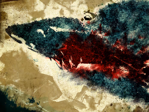 Item #25628898204730322103254308965318407839496113183409002219398702183192390008833 Media