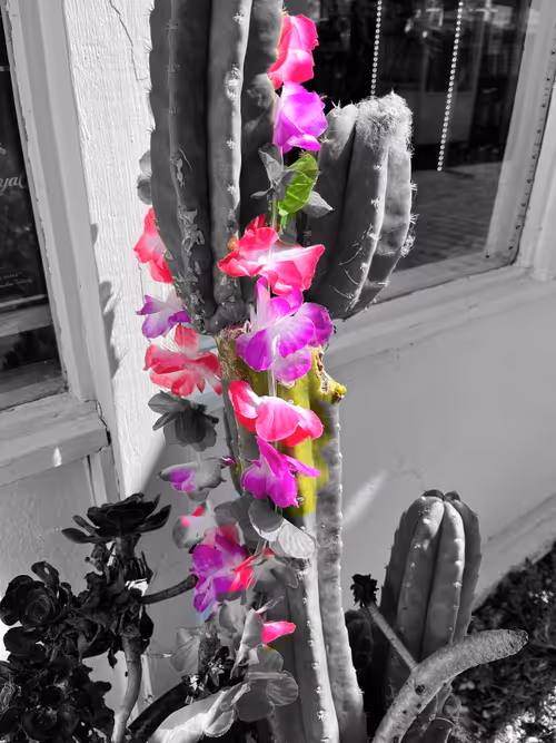 Item #54658991954620569599207754676135346584327228106620549664564325903523473522689 Media