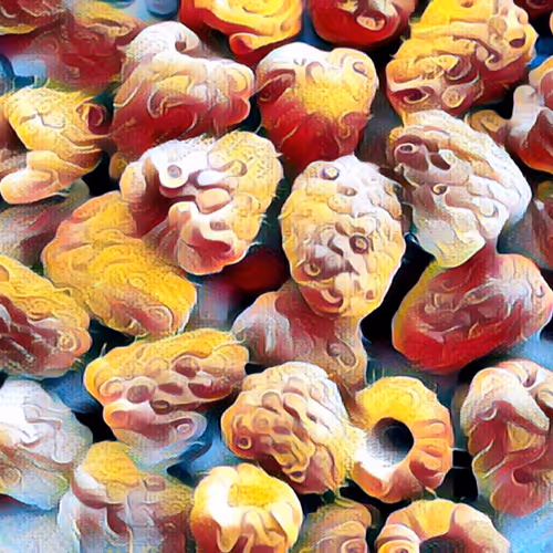 Berries 4