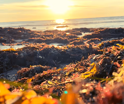 Item #82527419430776432677609198489525539692500095051269265648102109233128402845697 Media