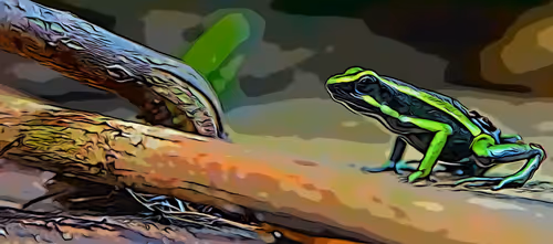 Item #29264666619168010317647881047170433350762654908464135976635272407594796318721 Media