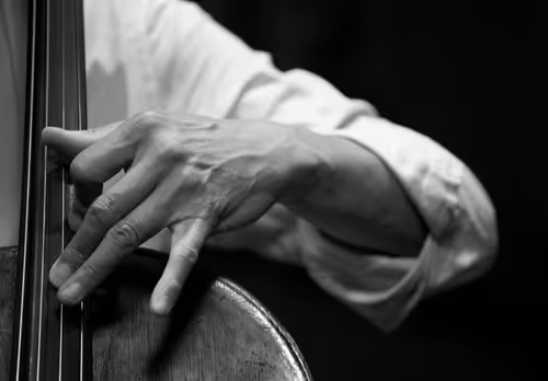 Item #56431751608181922231259635946092067407977788553703326303680802229386873929729 Media