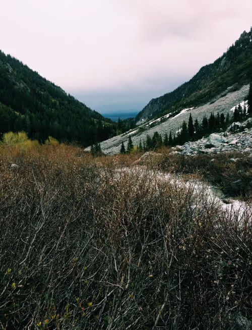 Item #38636187015463482433691281492566122321376547079854942751404297982802174935041 Media