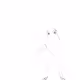12119635626563040950583261189955244471069546965228747073129938203657696706561