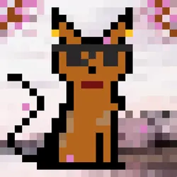 68568621670061694275886429845276246181661587958117290586321121970386481709057