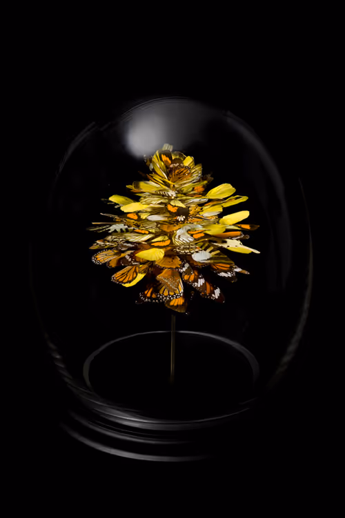 Item #79940252678170985197546940234406847408056084911246452413958937769079948181505 Media