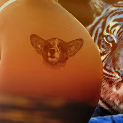 109973185304335295389295967702690498050440437764202445007733630582458547175425