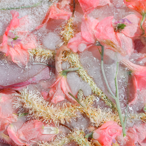 Item #80829721372825377784010953381890255518558028243098186913878117625609595125761 Media