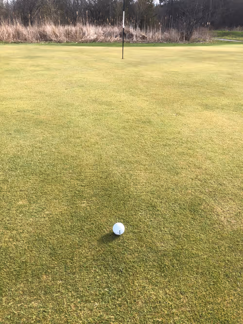 Item #63501405804539466294649239296238331691568935305954136329605659288406149038130 Media