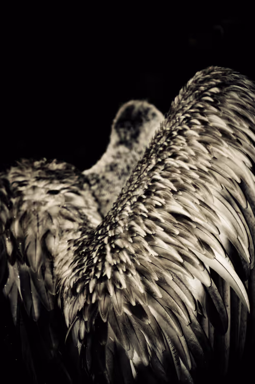 Item #69757720276947439031674533285002604249507548602387591823854788192009902358529 Media