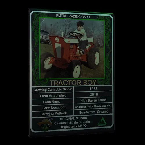 Item #14373597569036666614354436877834695366940624754910973536300673531615700320257 Media