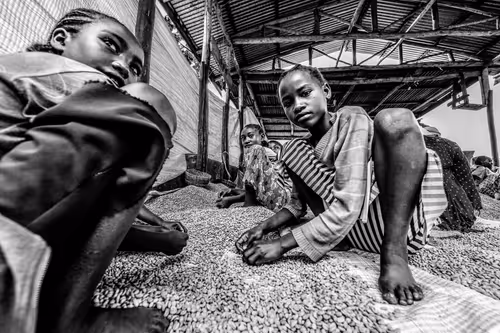 Item #50027882237522295676960542276708360859068113986169674979910834009759306219521 Media