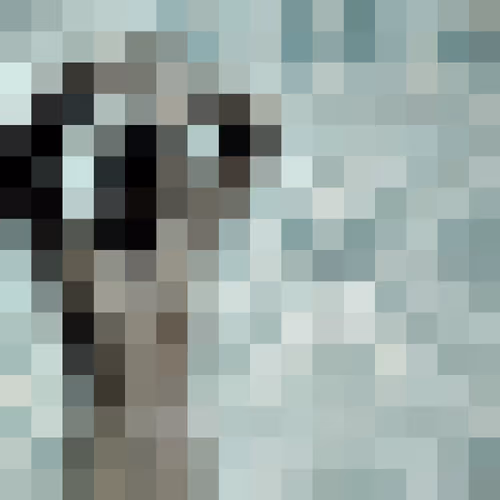 Item #70259611116733868928192191563803292413861127544419224770457549671666775228417 Media