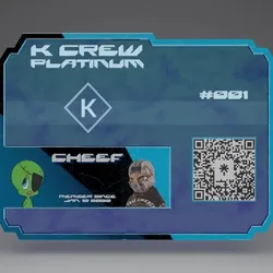 VIP Pass