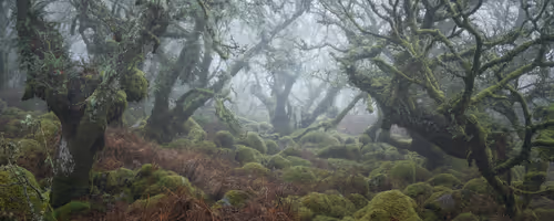 Item #72639390708267126639436568569652760193401123475841185469851730200478678515713 Media