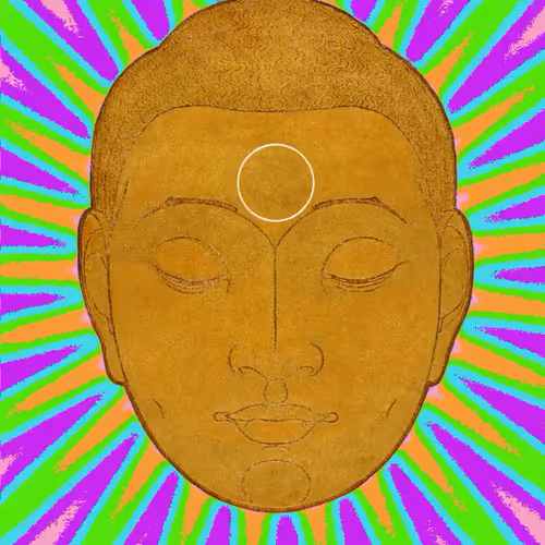 Sophisticated Psychonauts 2nd Trip A Microdose