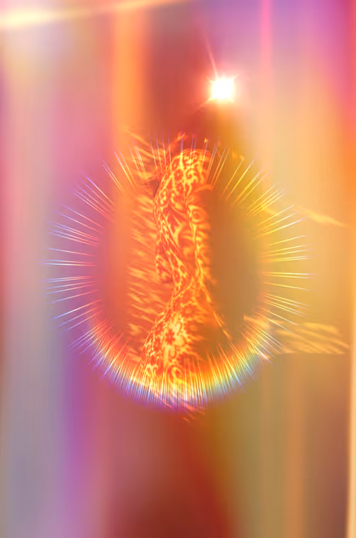 Item #40498021365110625873163859620955492987361950717153146364459205406761978691585 Media